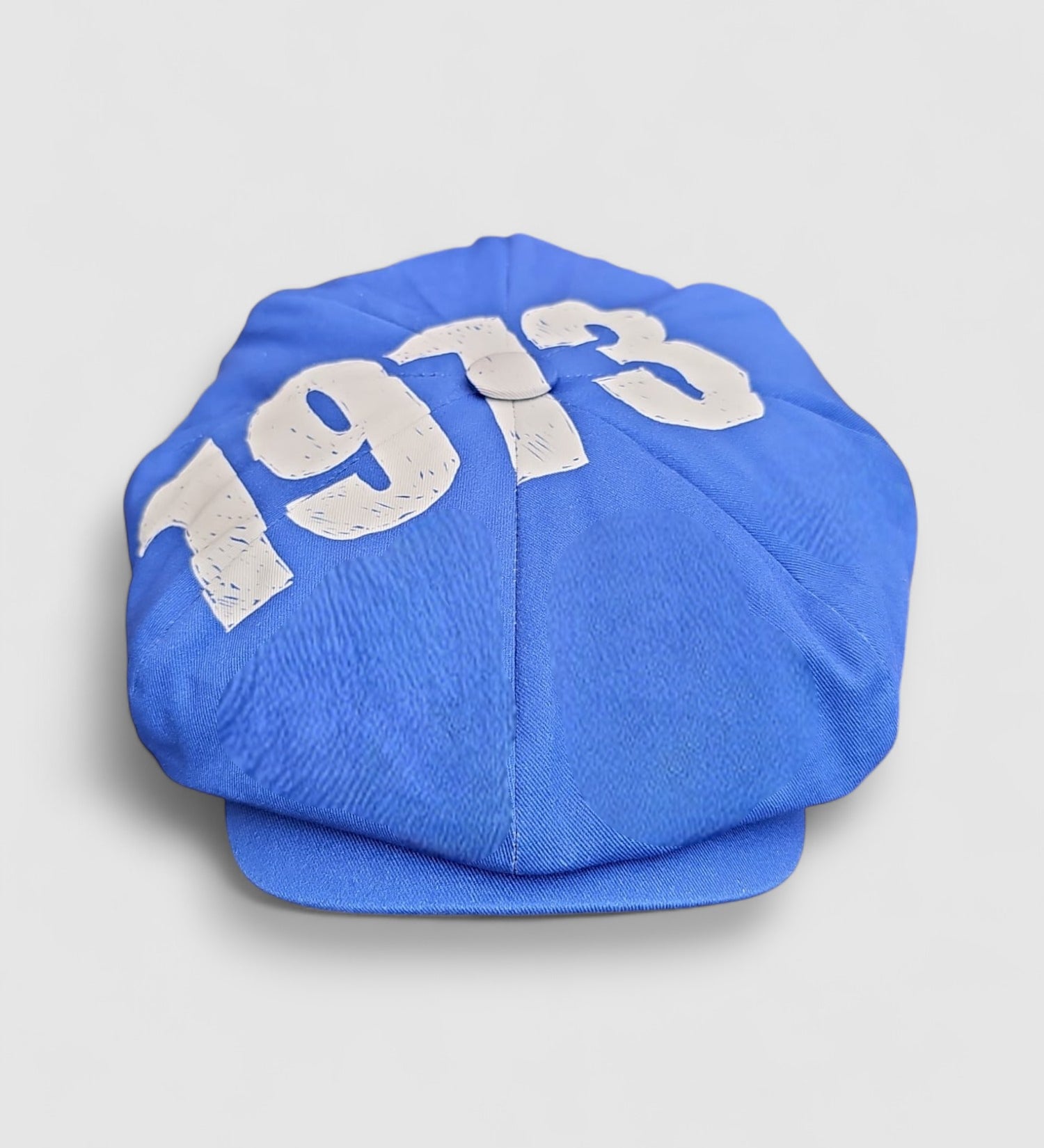 Leigh Francis x Mister Miller 1973 Bakerboy cap — full-crowned cotton twill cap in blue with bold ‘1973’ print featuring a curved snap peak. Front view.